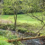 Διαμέρισμα Am Gaisbach Bad Herrenalb