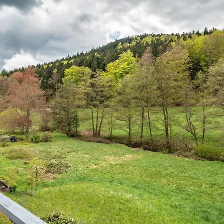 Apartment Am Gaisbach