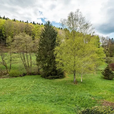 Am Gaisbach * 巴特黑雷纳尔布