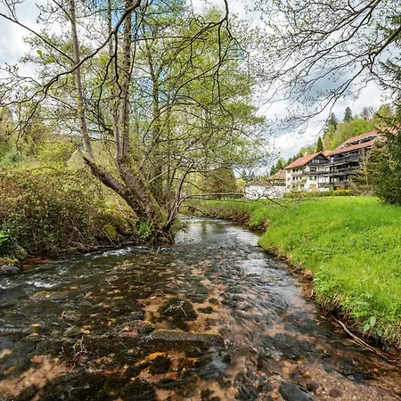 Apartment Am Gaisbach *