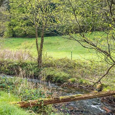 公寓 Am Gaisbach 巴特黑雷纳尔布