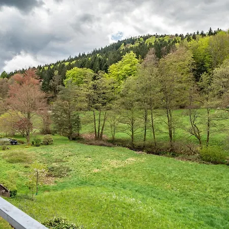 Διαμέρισμα Am Gaisbach