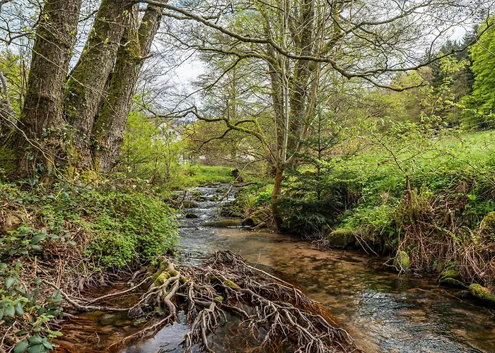 Am Gaisbach Lägenhet *